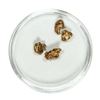 Image 1 : Gold Nuggets 2.43 Grams Total Weight