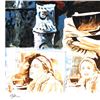 Image 2 : Arie Azene Limited Edition Serigraph On Paper
