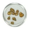 Image 1 : Lot of Gold Nuggets 3.38 Grams Total Weight
