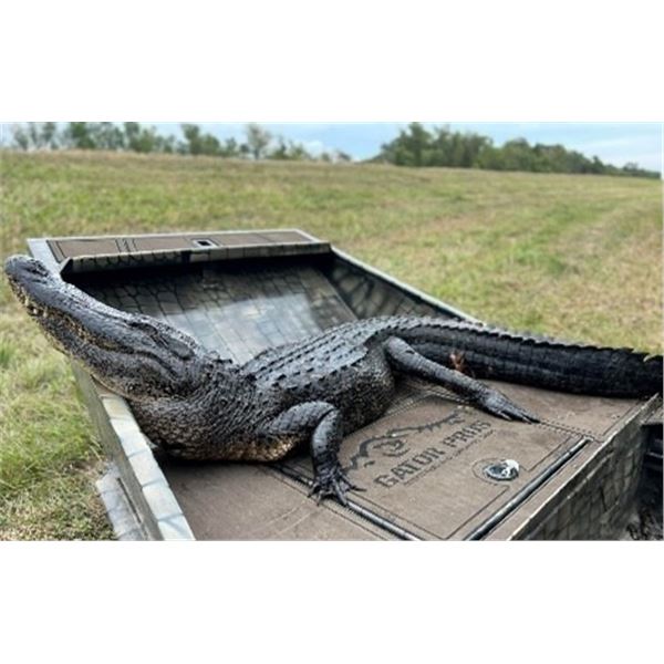 Gator Pros ALLIGATOR HUNT