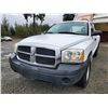 Image 8 : H1 --  2006 DODGE DAKOTA ST, White, 154851 KM