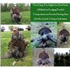 Image 1 : 3 day 4 night Rio Grande Turkey Hunt, 1 bird each state; in Oklahoma & Kansas