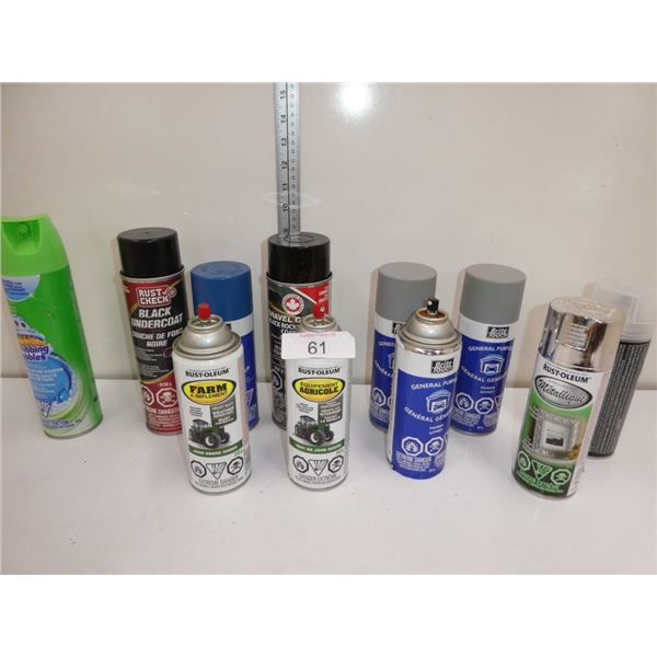 misc paint, cleaners