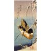 Hiroshig Wild Duck