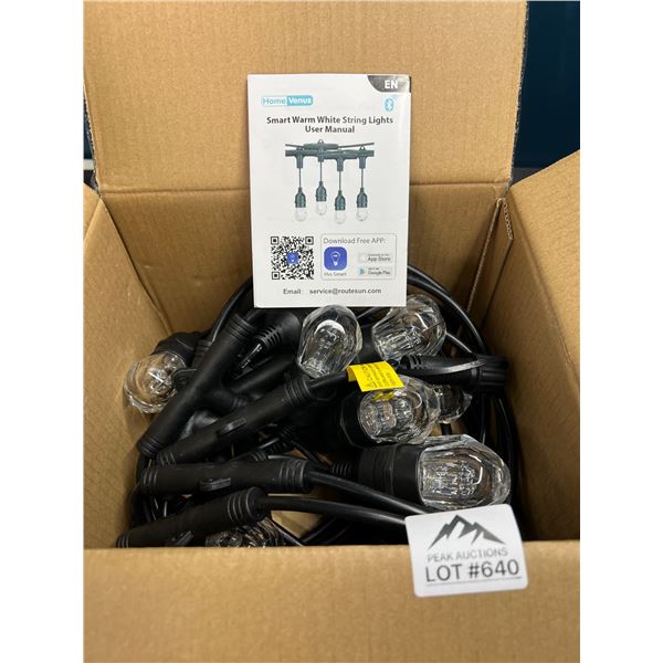 Lot of 1 Smart String Outdoor Lights w/ Edison Style Bulbs -  24FT