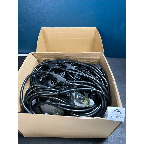 Lot of 1 LED Outdoor String Lights (Edison Style Bulbs)