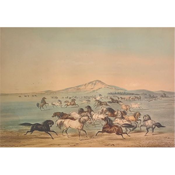 George Catlin-Wild Horses at Play