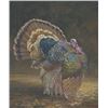 Image 1 : Vickie McMillan-Hayes-Strutting