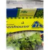 Image 3 : Jiffy Greenhouse Plant Pods (2x72ct)
