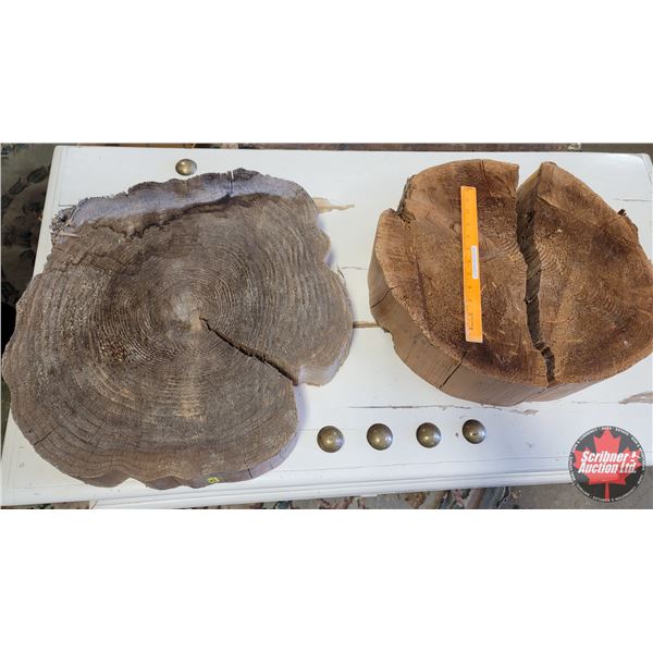 Tree Trunk Slabs (2) (Note: one is split) (one Measures 16