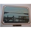 Image 2 : Winston Collection Original Bee's Wax Paintings (12x15.5)