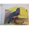 Image 2 : Sweet Caporal Canadian Bird Series Cardboard Display (7x9 Eastern Blue Bird)