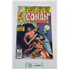 Image 1 : Conan the Barbarian