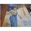 Image 4 : James Dean Wall Covering From the Movie "Giant" 3ft(36") by 68"