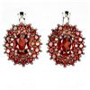 Image 1 : Natural Mozambique Garnet Earrings