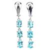 Image 1 : Natural Unheated Apatite Earrings