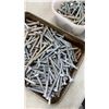 Image 4 : 2 TRAYS OF BOLTS 3.5"-4"