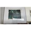 Image 5 : SIGNED LIMITED EDITION PRINT SADIE HARPER SPRING WOODLANDS 3/3 AND 3 PRINTS