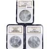 Image 1 : 2002 Set (3) American Silver Eagles NGC MS69