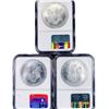 Image 2 : 2002 Set (3) American Silver Eagles NGC MS69