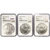 Image 1 : 2001 Set (3) American Silver Eagles NGC MS69