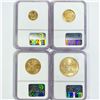 Image 2 : 2004 Set (4) $5, $10, $25, $50 AGE NGC MS69