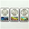 Image 2 : 1887, 1885 (2) Set (3) Morgan Dollars NGC MS62
