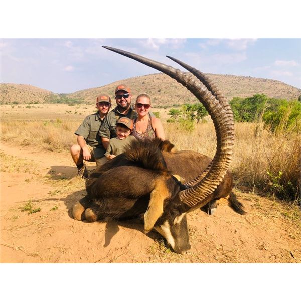 South African Trophy Sable Hunt for 2!