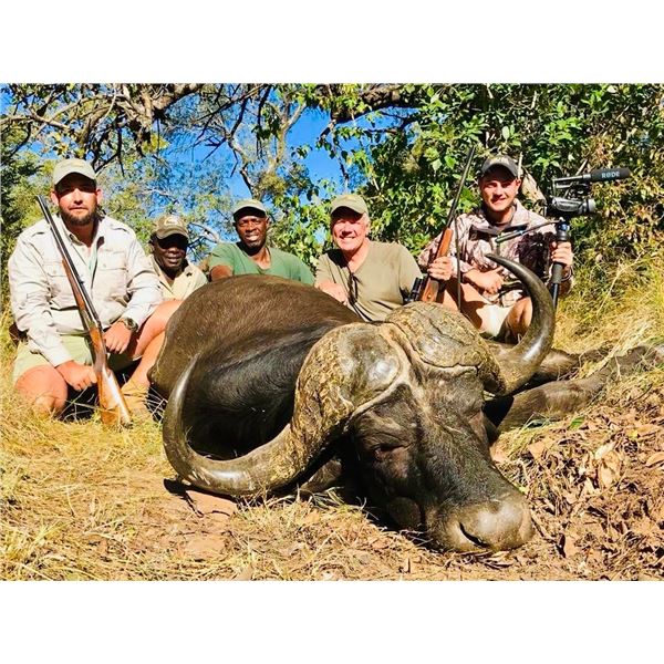 Trophy Cape Buffalo Hunt
