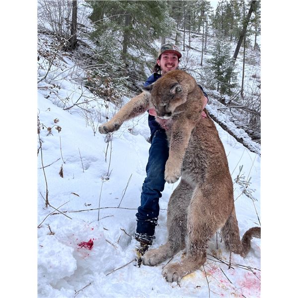 Idaho Mountain Lion Hunt