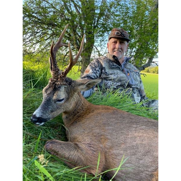 Scotland Roe Deer Hunt