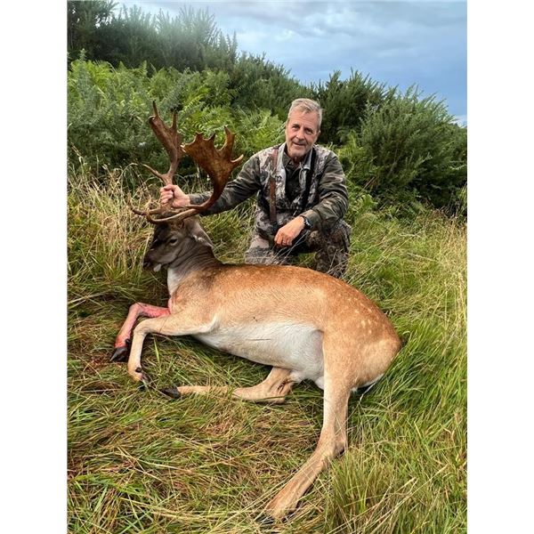 Ireland Trophy Hunting Package