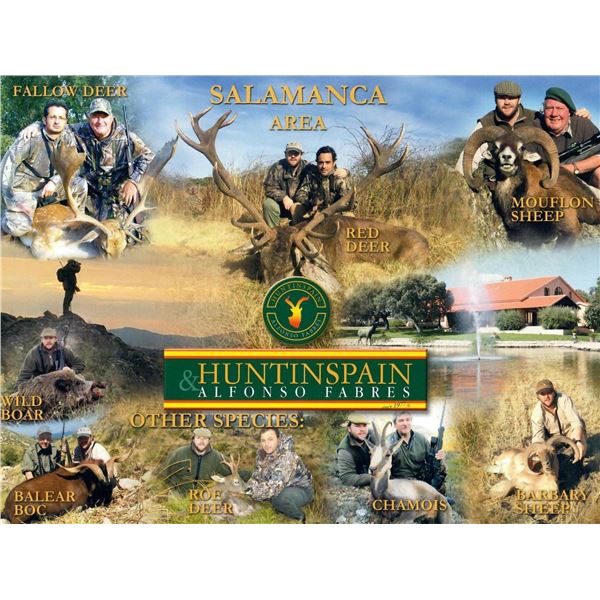 Spanish Trophy Hunt