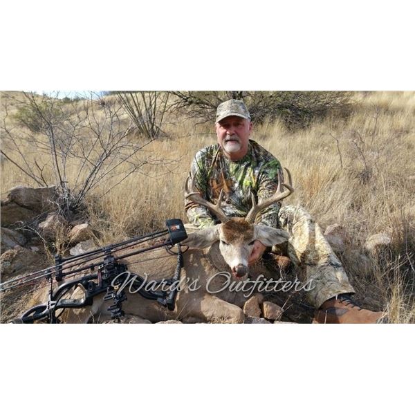 Arizona Coues Deer