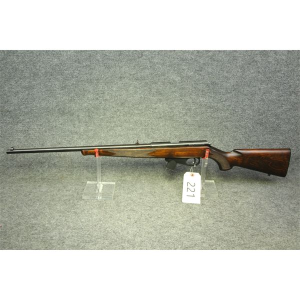 Winchester Wildcat 22