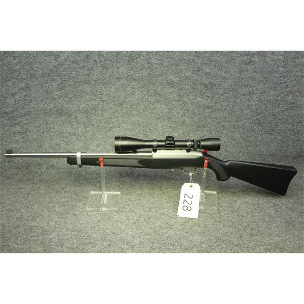 Ruger 10/22 Stainless