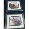 Image 2 : Wild Cat Lot Of Plates & Framed Pictures