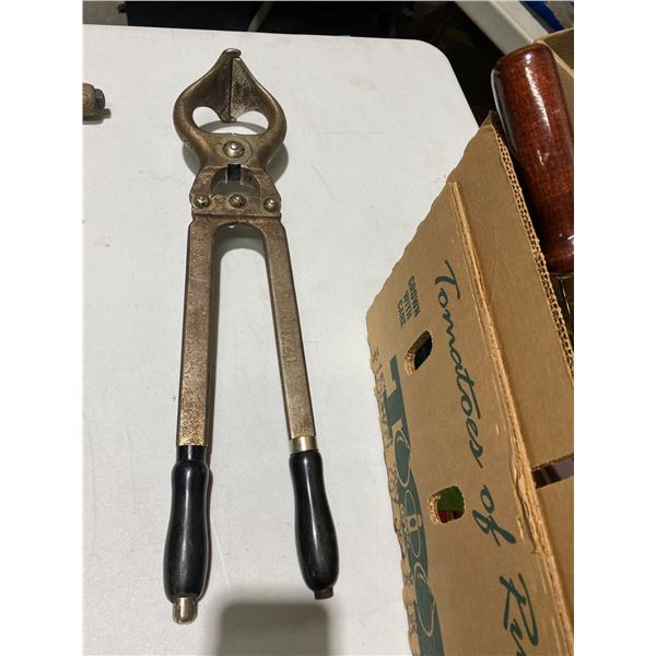 burizzo cow Ball remover