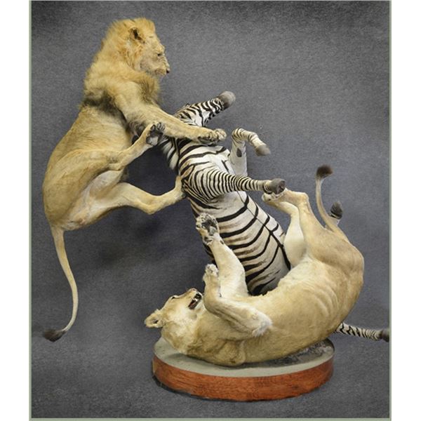$2,500 High Unitas Taxidermy Credit