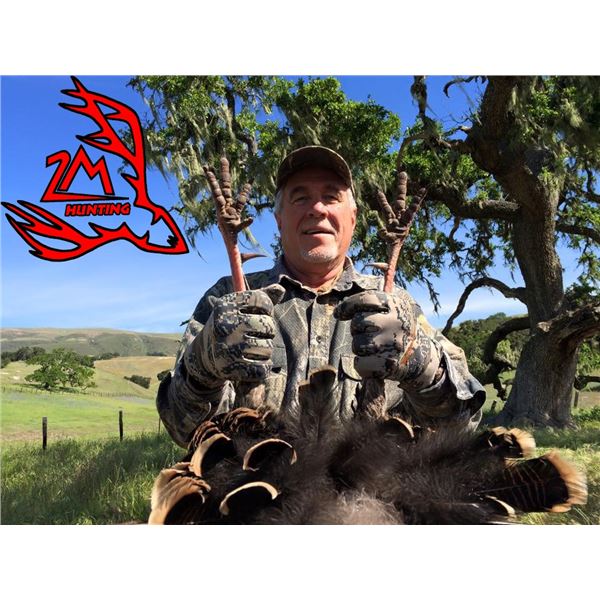 California Turkey Hunt