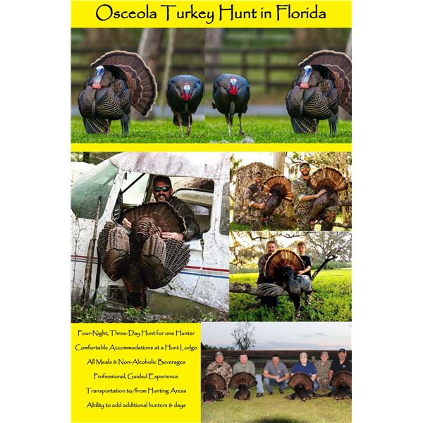 Osceola Turkey Hunt - Florida