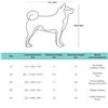 Image 3 : NEW AMAZON BASICS PREMIUM FOLDABLE PET CARRIER