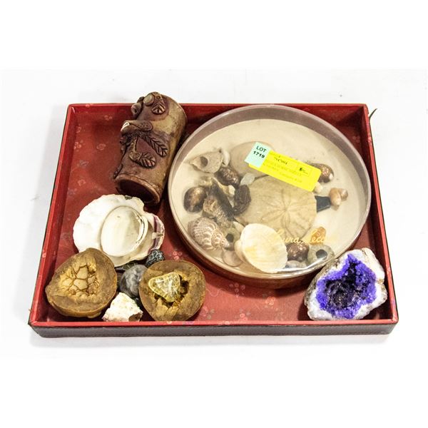 FOSSILS, SHELLS, STONES,