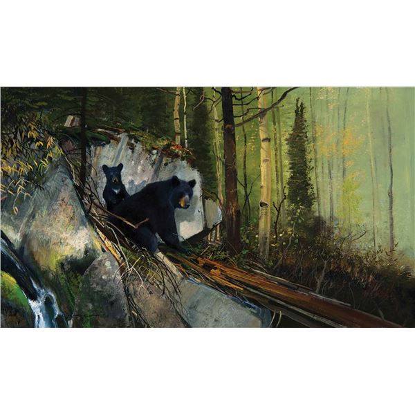 Michael Coleman-Into the Woods