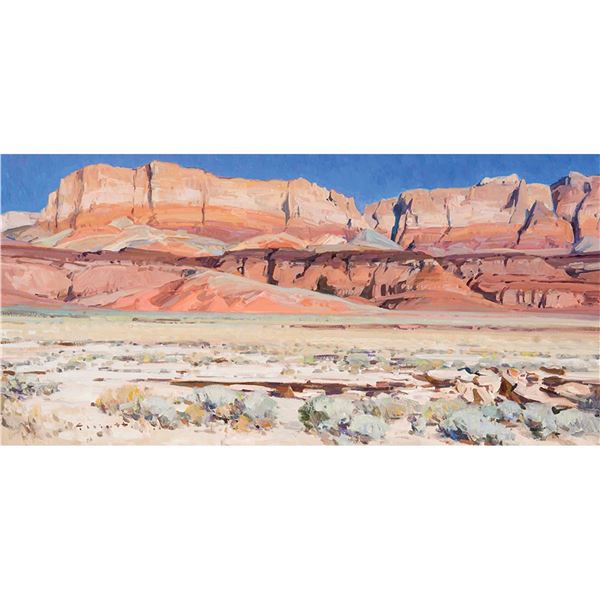 Josh Elliott-Vermillion Rainbow