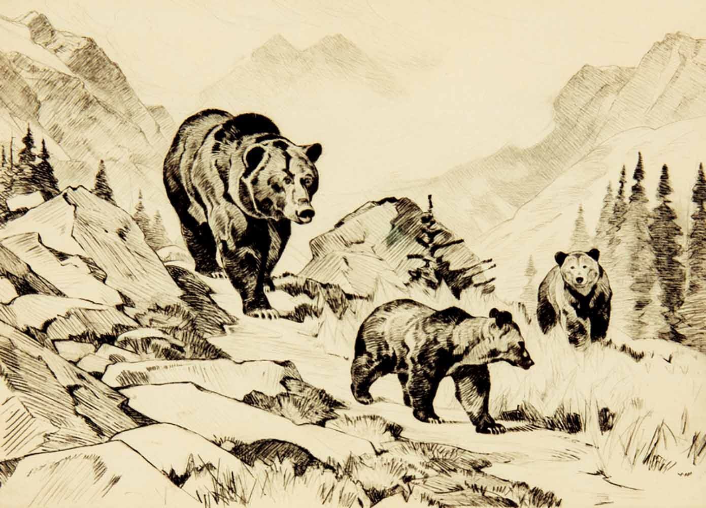 Carl Rungius-The Family