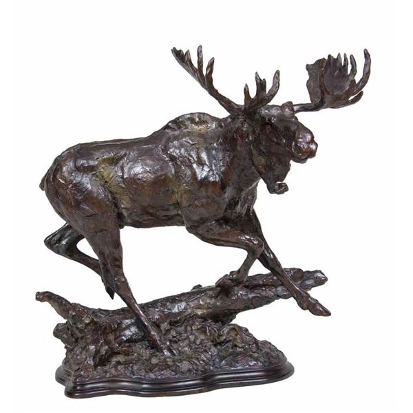 Tim Shinabarger-Through the Jungle