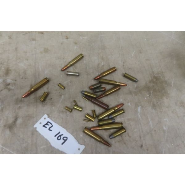 Mixture of Ammo - 15- 20 Pieces- MUST PROVIDE PROOF OF PAL PRIOR TO PURCHASE- WE DO NOT SHIP AMMO