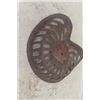 Image 8 : Cast Iron Implement Seat Marked P287
