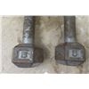 Image 3 : (4) 5 lb Steel Dumbells